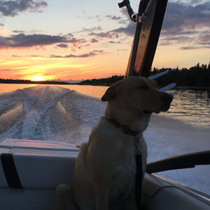 Meet your Posher, Nancy